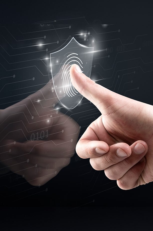 Web Integration, Data Base & Backend Dev.